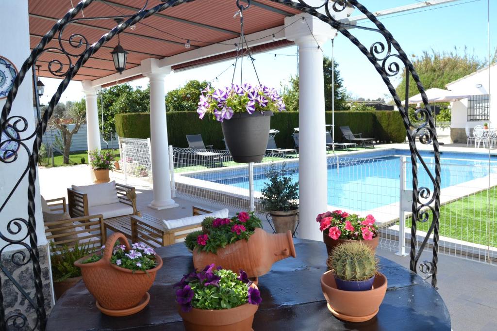 een patio met potplanten en een zwembad bij La Orquídea de Córdoba in Córdoba