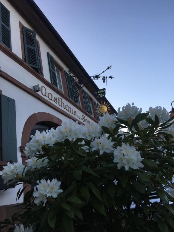 a tree with white flowers in front of a building at Gasthaus zur Sonne in Rhodt unter Rietburg
