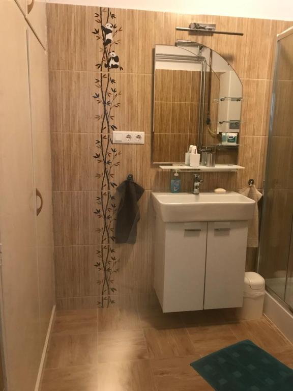 A bathroom at 100 lépés - 100 steps - Apt with huge terrace next to the thermal bath