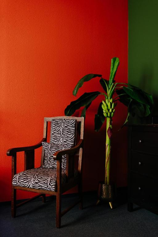 LaLeLu Hostel Dresden - 2