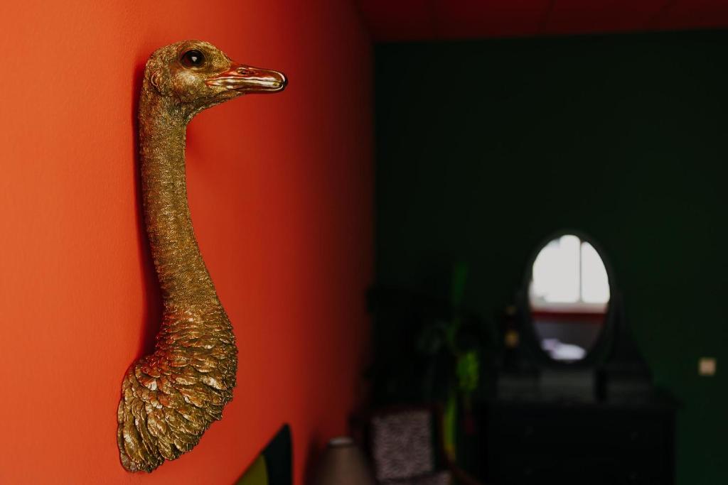 LaLeLu Hostel Dresden - 5