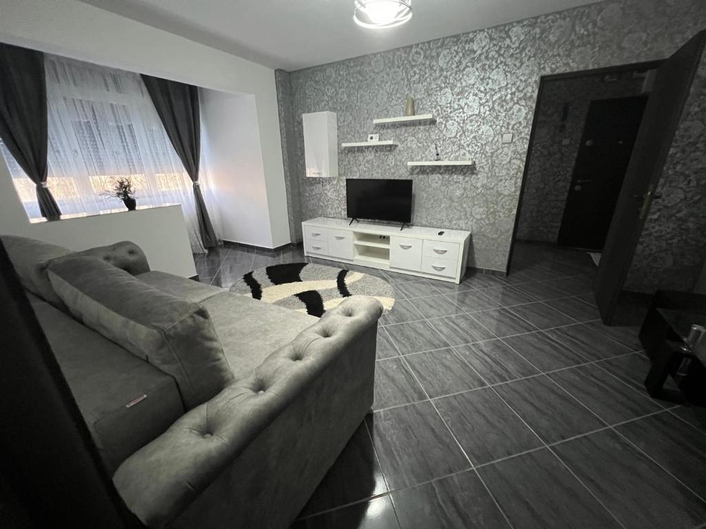 Apartament spațios, zona centrală în Iași في ياش: غرفة معيشة بها أريكة وتلفزيون