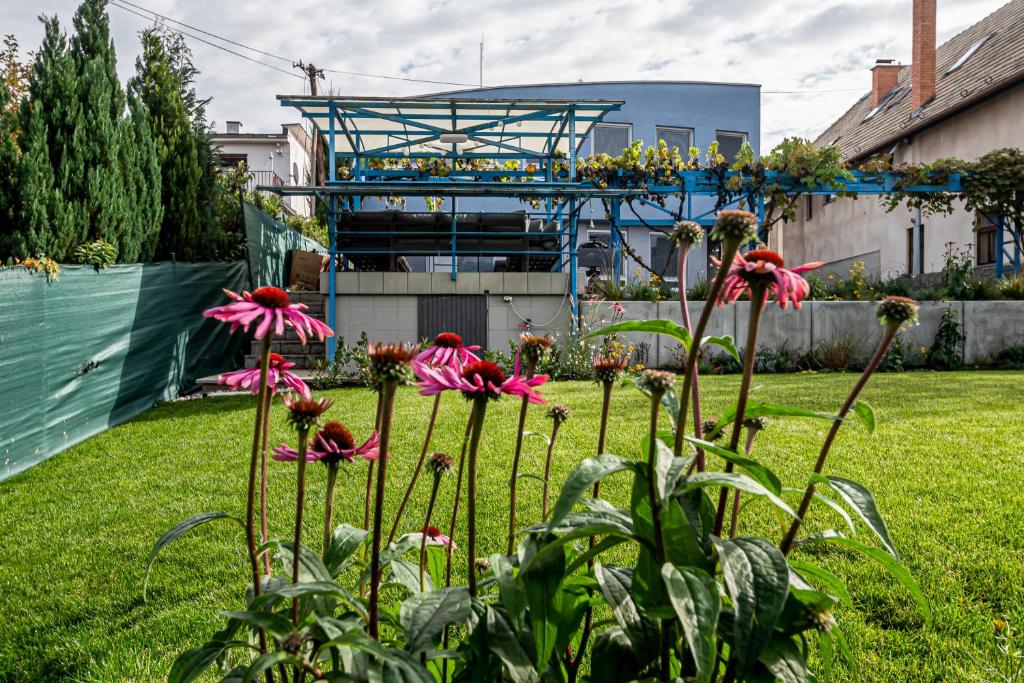 a garden with pink flowers in a yard at Hotel Squash Dependance in Prievidza