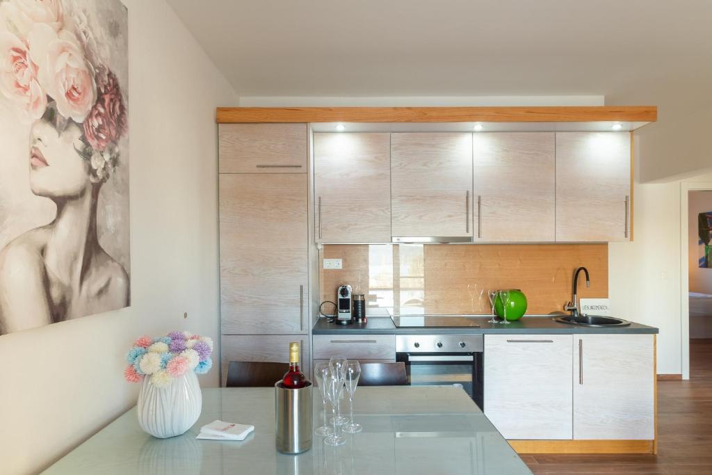 Kuchyň nebo kuchyňský kout v ubytování Rtina Appartements