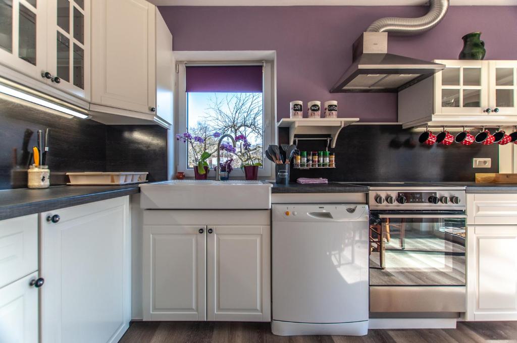 Kuchyň nebo kuchyňský kout v ubytování Apartments JULIA Bohinj