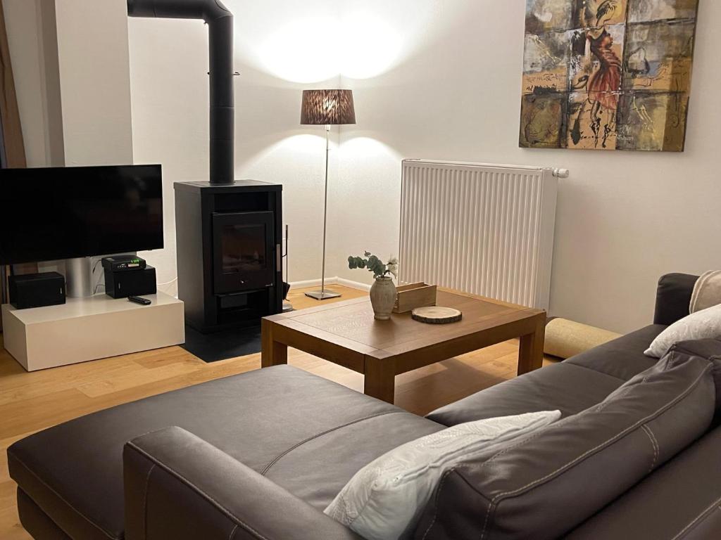 TV a/nebo společenská místnost v ubytování Wunderschöne Wohnung am See mit Sauna & Whirlpool