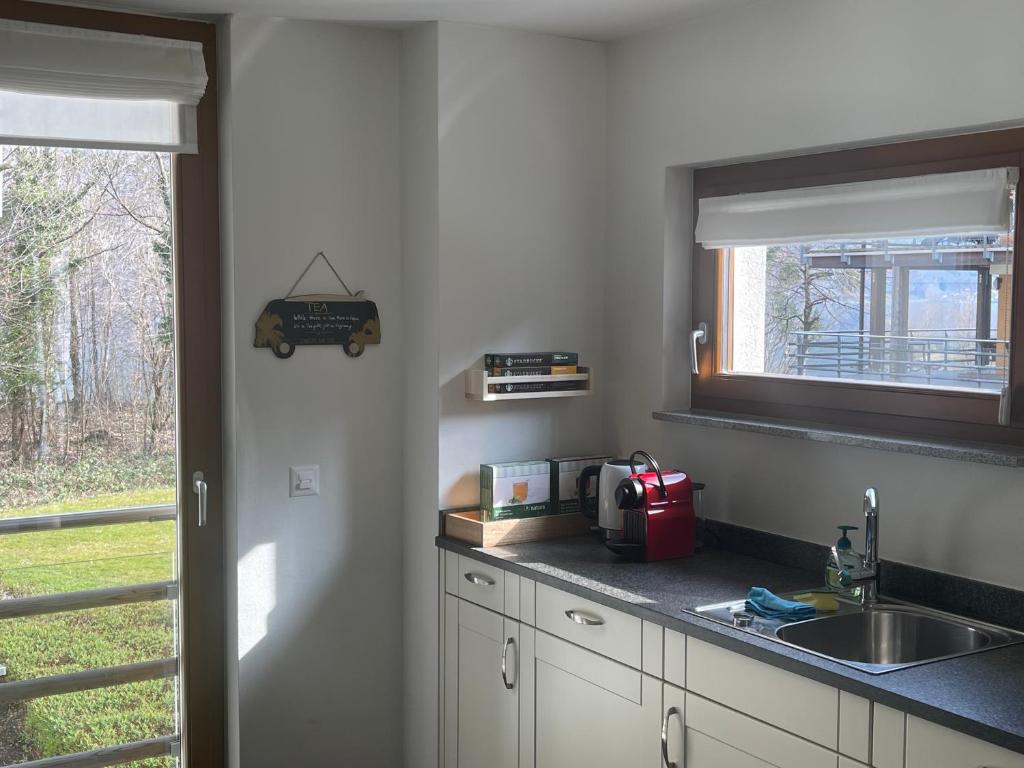 Kuchyň nebo kuchyňský kout v ubytování Wunderschöne Wohnung am See mit Sauna & Whirlpool