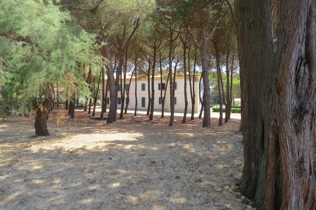 a forest of trees with a building in the background at San Giuseppe Casa per Ferie in Quercianella