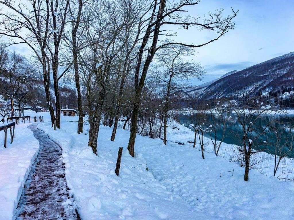 Príroda v okolí apartmánu