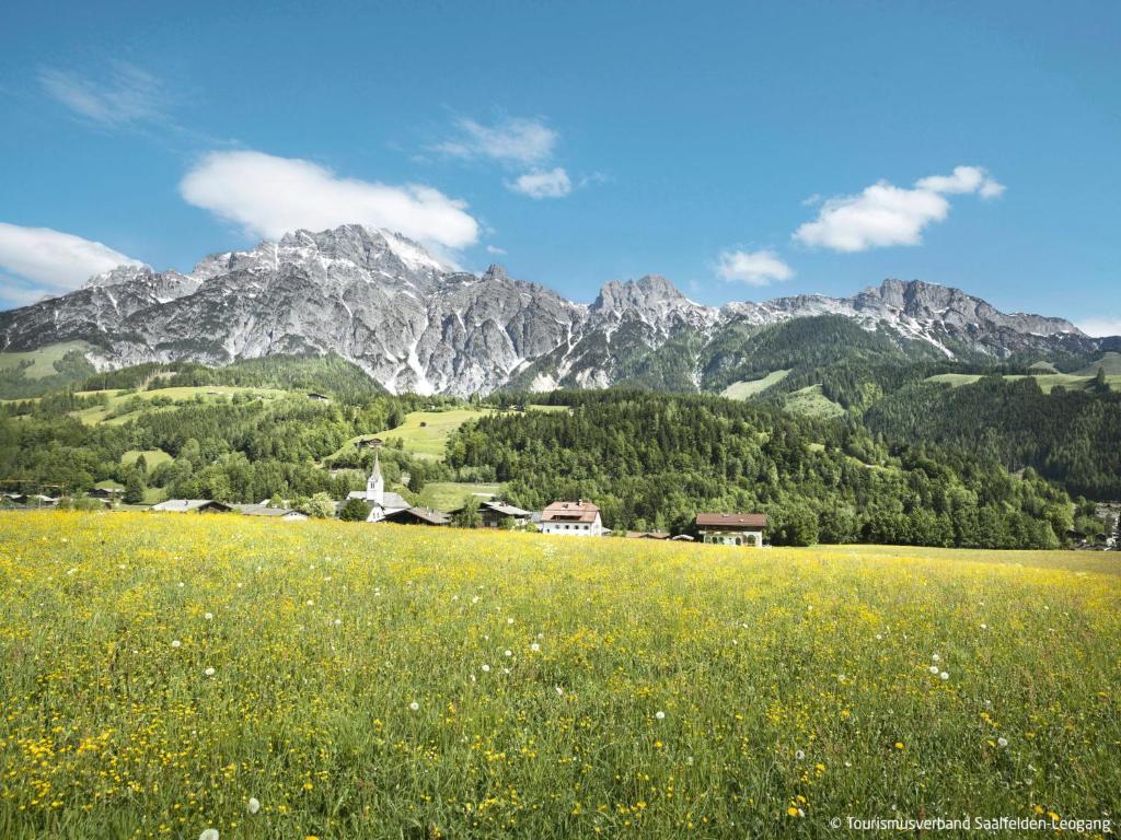 Kép Apartment Hinterreit-2 by Interhome szállásáról Maria Alm am Steinernen Meerben a galériában