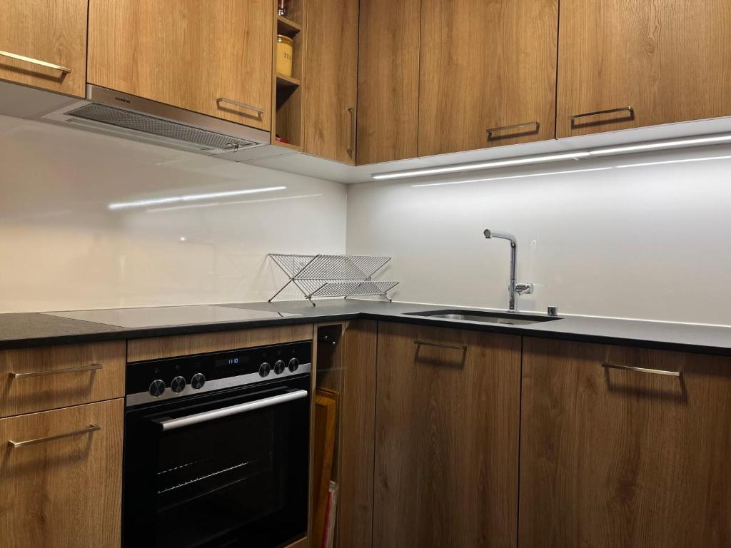 Kuchyň nebo kuchyňský kout v ubytování Apartment Chäs Gruebi Apt-S by Interhome