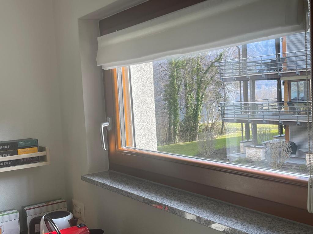 Fotografie z fotogalerie ubytování Wunderschöne Wohnung am See mit Sauna & Whirlpool v destinaci Unterterzen