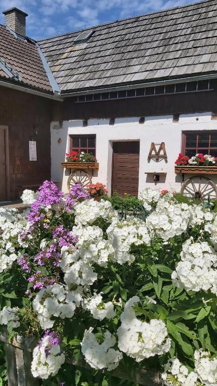 Zahrada ubytování Ferienhaus SCHWEIZER Hof
