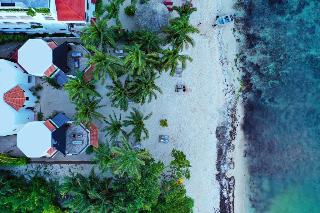 an overhead view of a beach with palm trees and the ocean at Casa Colibrí Tankah in Tulum