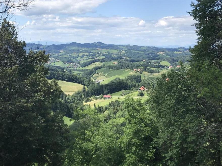 a view of a valley with trees and houses at Ferienhaus am Weinberg in Leutschach