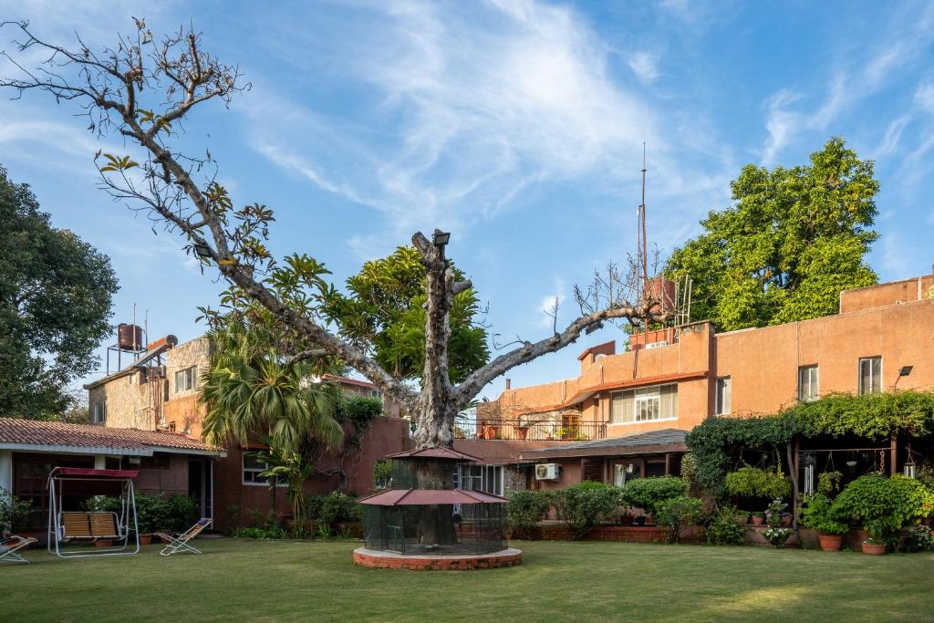 un patio con un gran árbol frente a un edificio en LohonoStays Homestead, Corbett, en Rāmnagar
