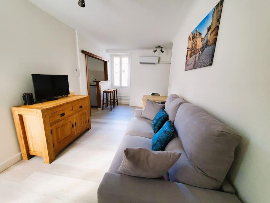 ein Wohnzimmer mit einem Sofa und einem TV in der Unterkunft Appartement de charme à Sarlat in Sarlat-la-Canéda