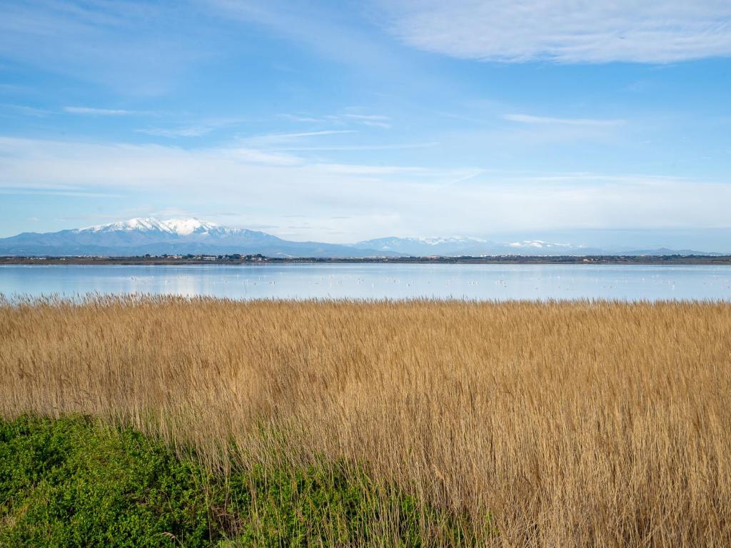 Pla&#x17E;a ob oz. blizu apartmaja