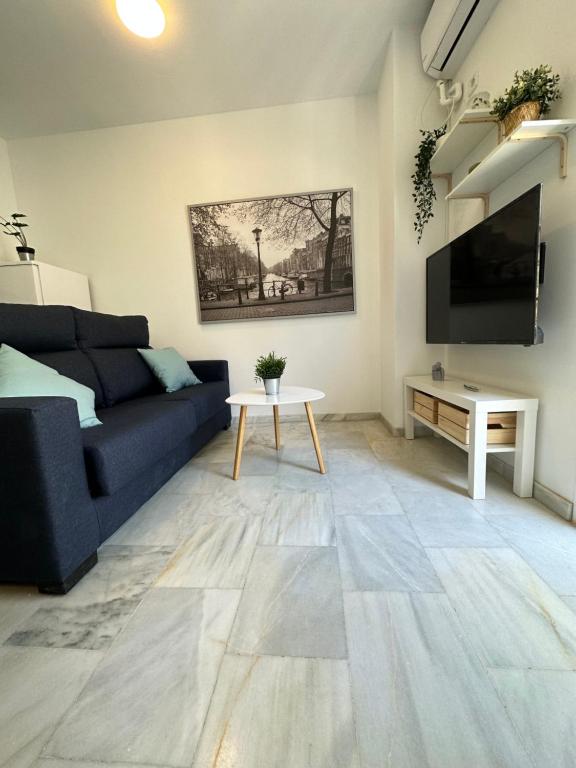 Televízia a/alebo spoločenská miestnosť v ubytovaní Apartamentos Don Diego La Carihuela