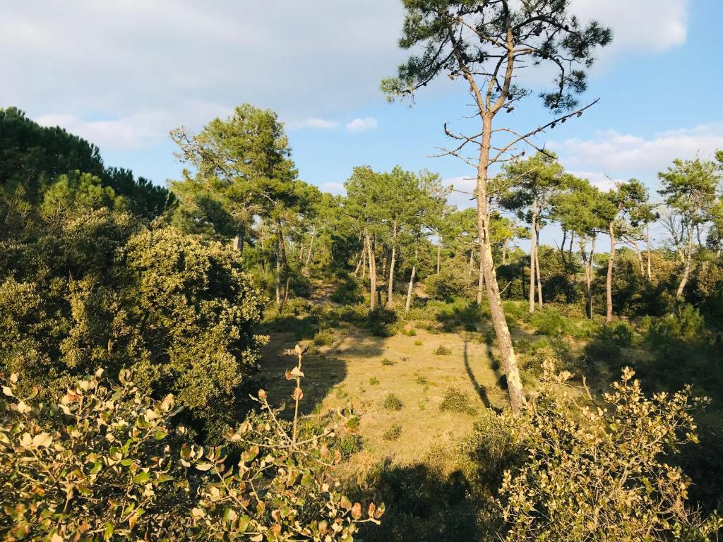 Príroda v okolí dovolenkového domu