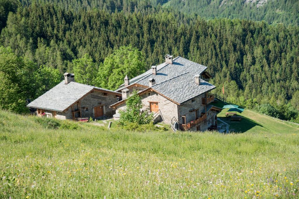 Příroda nedaleko chaty