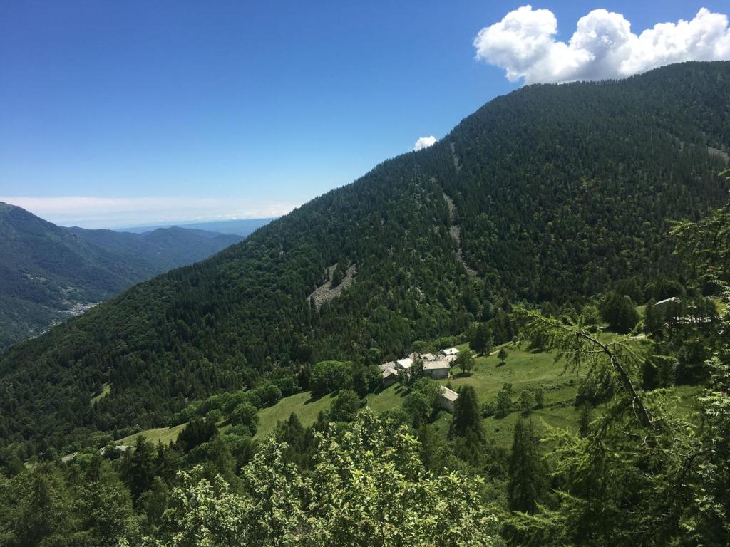 Príroda v okolí apartmánu