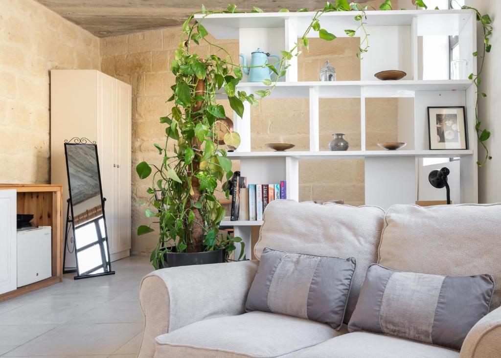 sala de estar con sofá y planta en Roam Gozo - Studio Hamrija - Modern Cozy Tiny Home Set In Gozo's Oldest Village, en Xewkija
