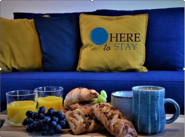 a coffee table with a plate of food on a blue couch at Peaceful, Lovely and Modern, Entire House in Edinburgh