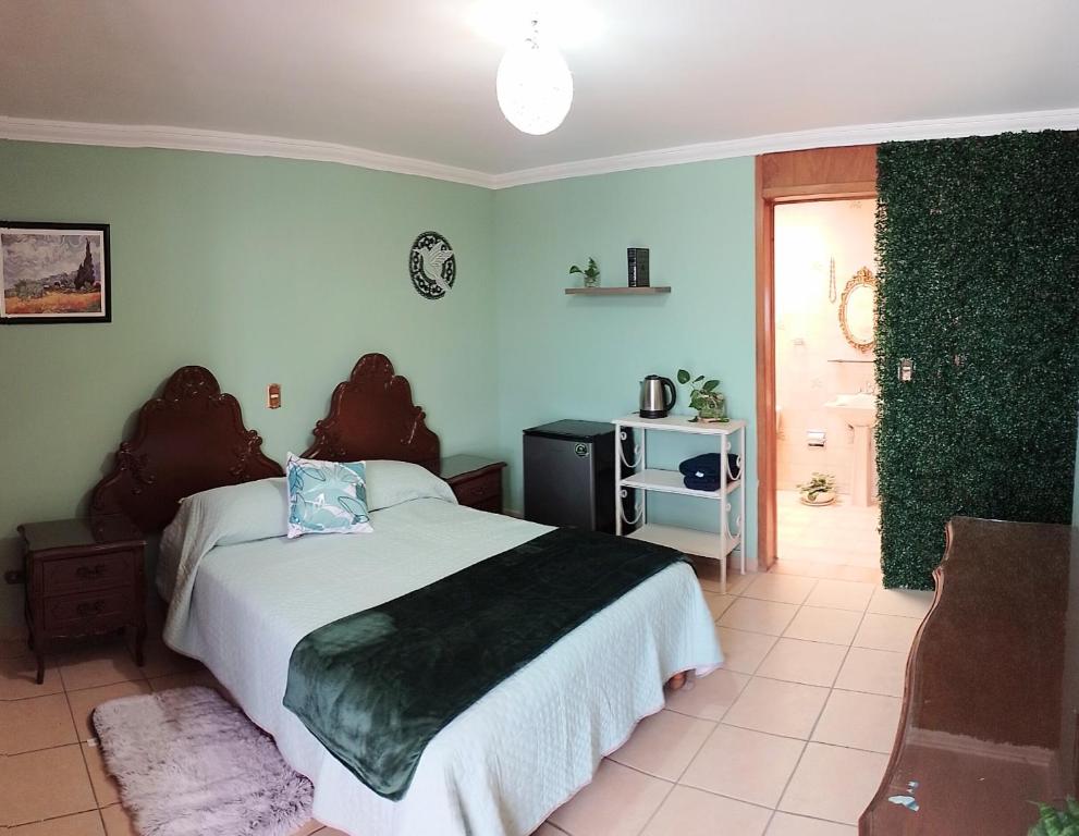sypialnia z dużym łóżkiem w pokoju w obiekcie Habitación independiente colibrí w mieście Aguascalientes