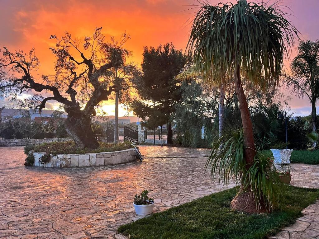 un coucher de soleil dans un parc avec un palmier dans l'établissement Don Peppe B&B, à Monopoli