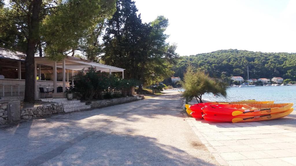 Príroda v okolí apartmánu