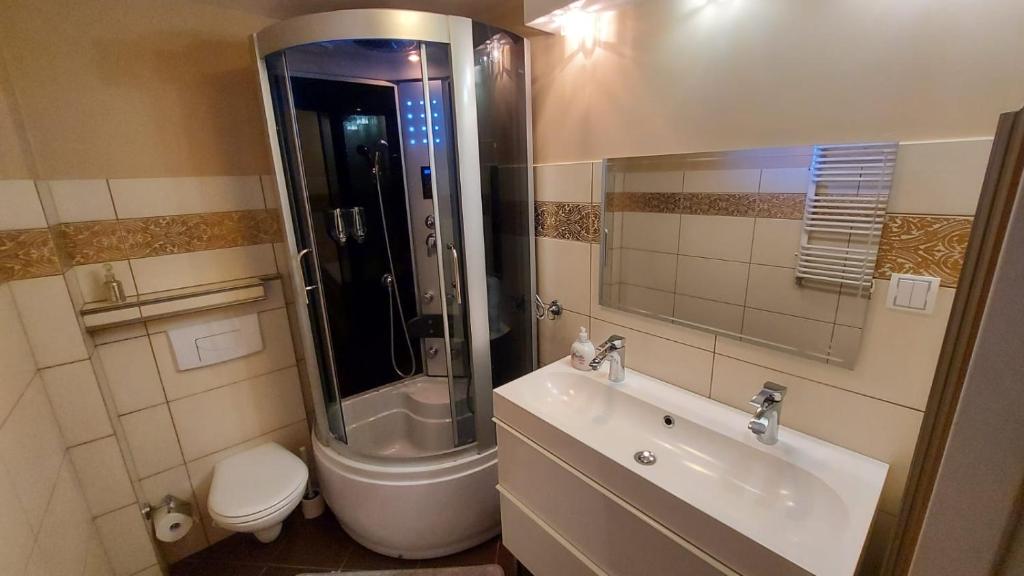 łazienka z umywalką, prysznicem i toaletą w obiekcie Apartamenty Stokrotka w mieście Lądek-Zdrój