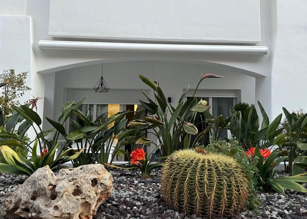 un jardín con cactus y flores frente a un edificio en Villa Bobita-Marina Golf-Playa Granada en Motril