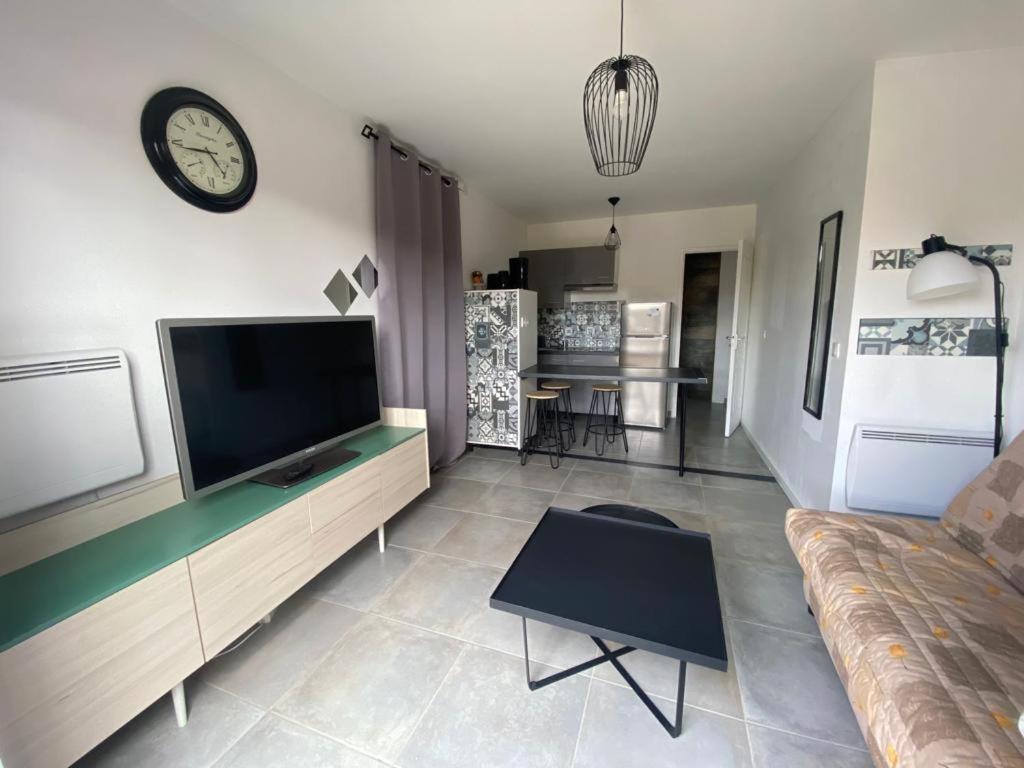 salon z telewizorem i kanapą w obiekcie Studio avec extérieur ombragé w mieście Saint-Marcel-lès-Valence