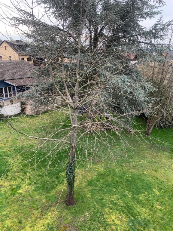 Zahrada ubytování Mainpark Apartment 4 Schlafzimmer bis zu 10 Personen direkt über AschaffApartment bei Aschaffenburg