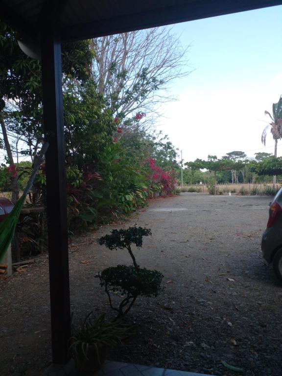Zahrada ubytování Cabañas Martina Surf Playa Guanico