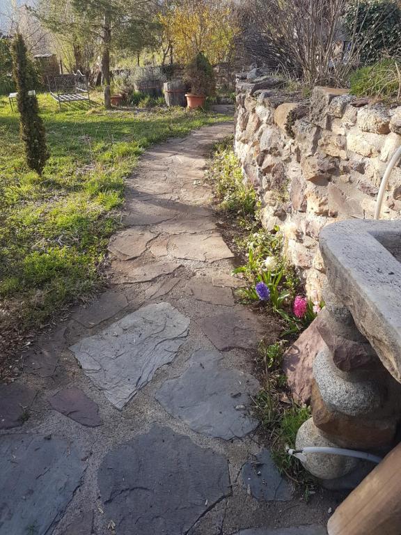 Zahrada ubytování Apartamentos el Sauco