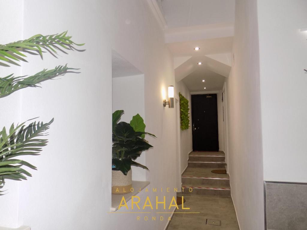 ALOJAMIENTO ARAHAL - RONDA - 10