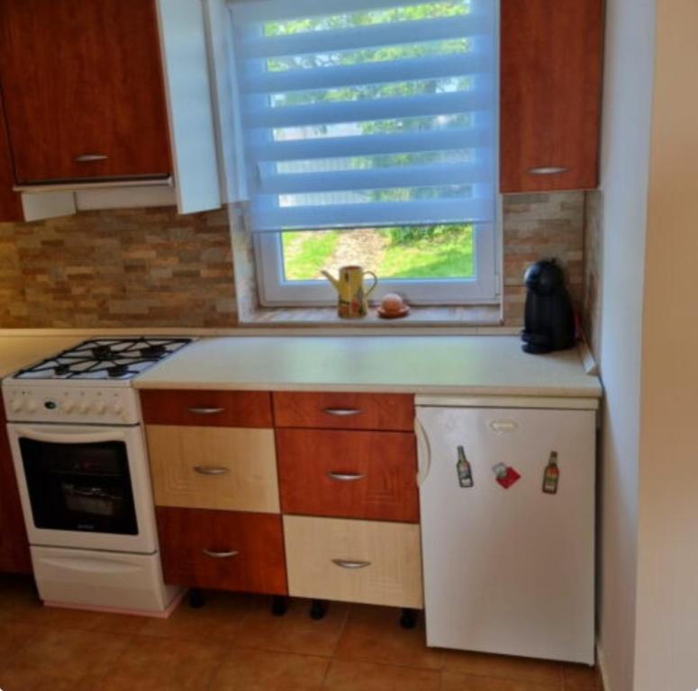Kuchyň nebo kuchyňský kout v ubytování Tóthék Apartman