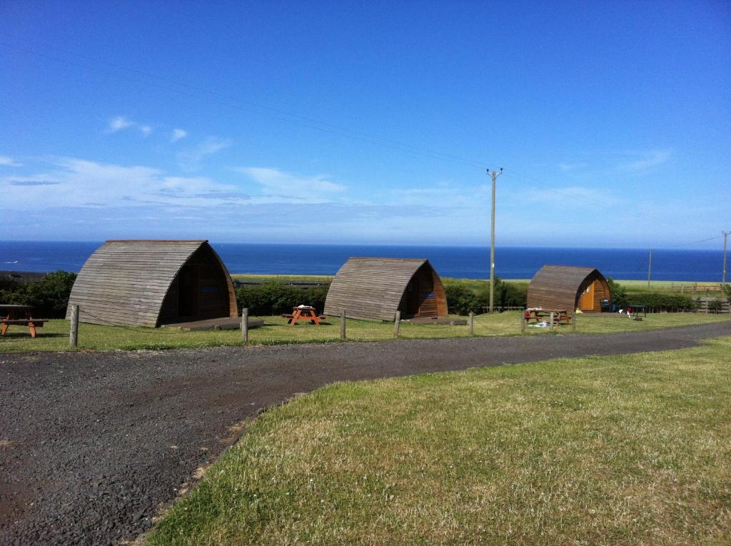 un grupo de tres cúpulas a un lado de una carretera en Pot a Doodle Do en Berwick-Upon-Tweed