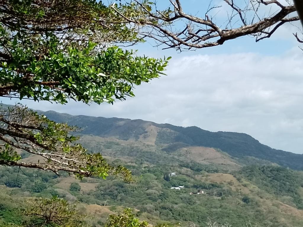 Gallery image of Butterfly in Tajo Alto