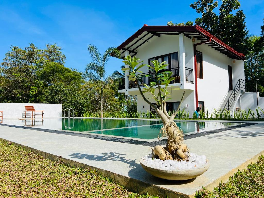 un bonsái frente a una casa con piscina en Finch Tangalle en Tangalle