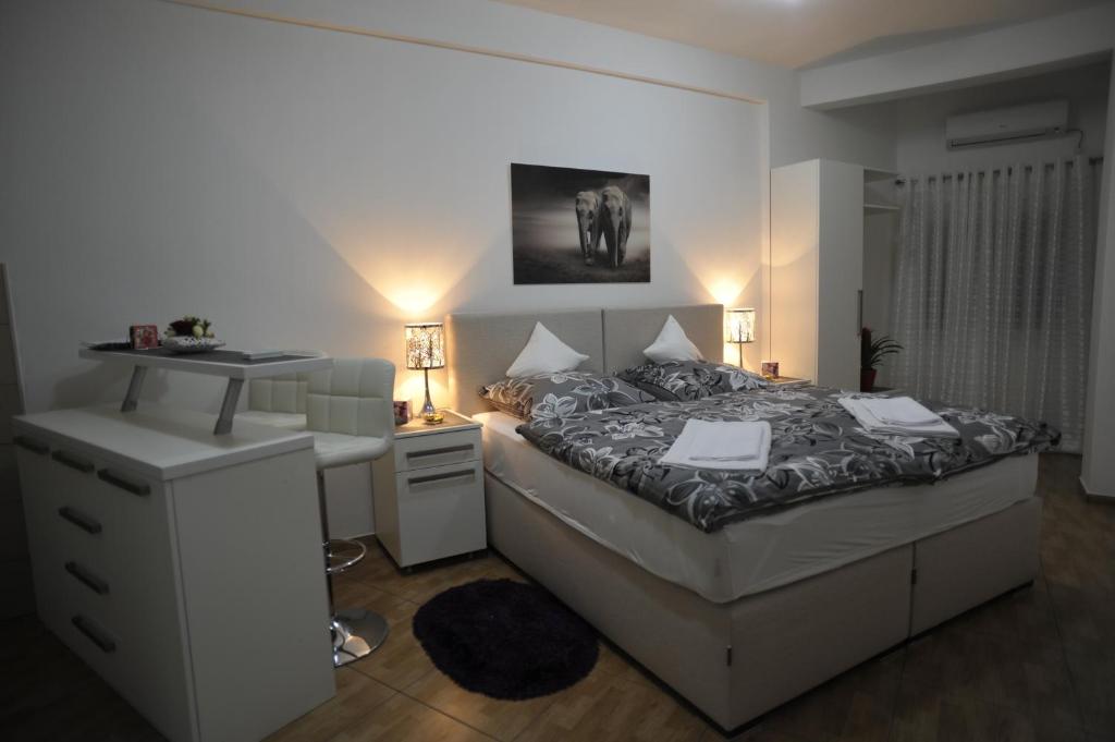 Apartment Jovana Nikšić - スタジオ