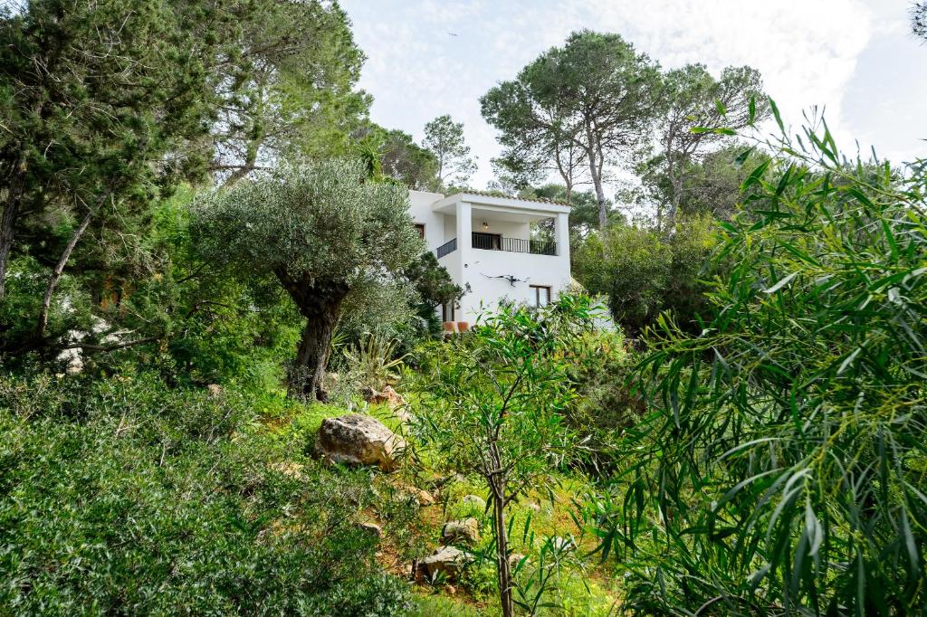 a white house in the middle of a forest at Casa Juliarina in Sant Josep de sa Talaia