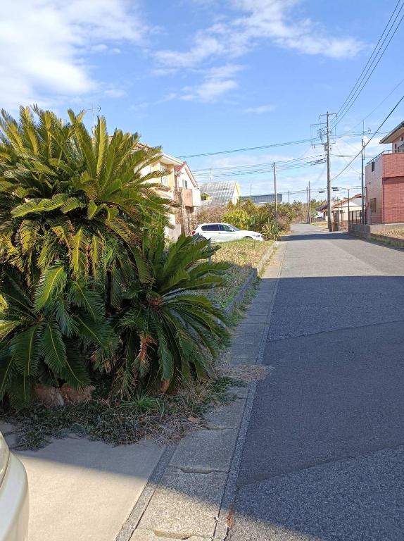 a street with palm trees on the side of a road at KAI Ichinomiya in Ichinomiya