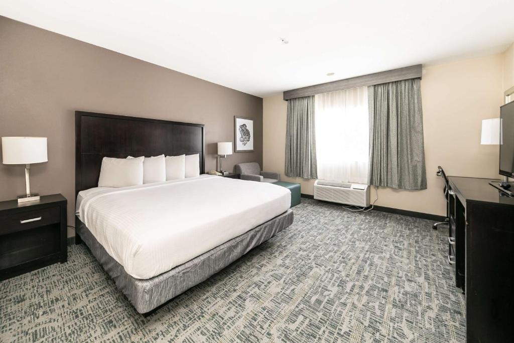 Best Western Inn & Suites San Diego Zoo -SeaWorld Area - 