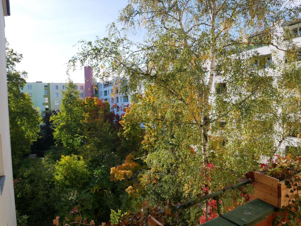 a view of a garden with trees and buildings at Private room in the centre of Berlin in Berlin