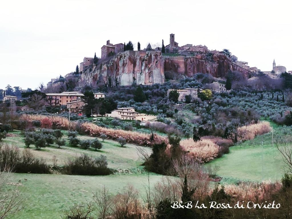 een stad op een heuvel met een kasteel bovenop bij La Rosa di Orvieto in Orvieto
