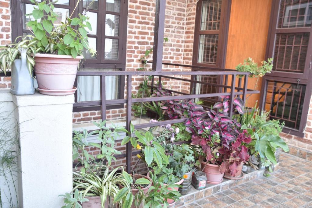 Zahrada ubytování Tanani Newa Home -Dhaulagiri