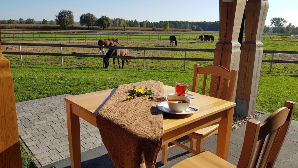Apartamenty Stajnia Ojcowizna - One-Bedroom Apartment